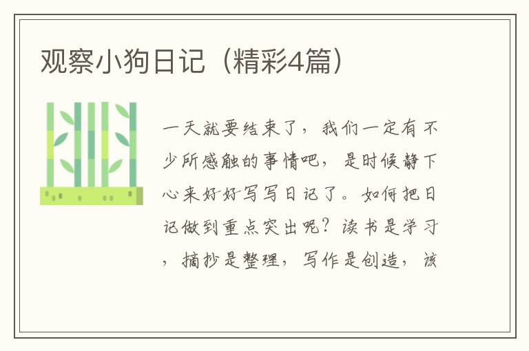 观察小狗日记（精彩4篇）