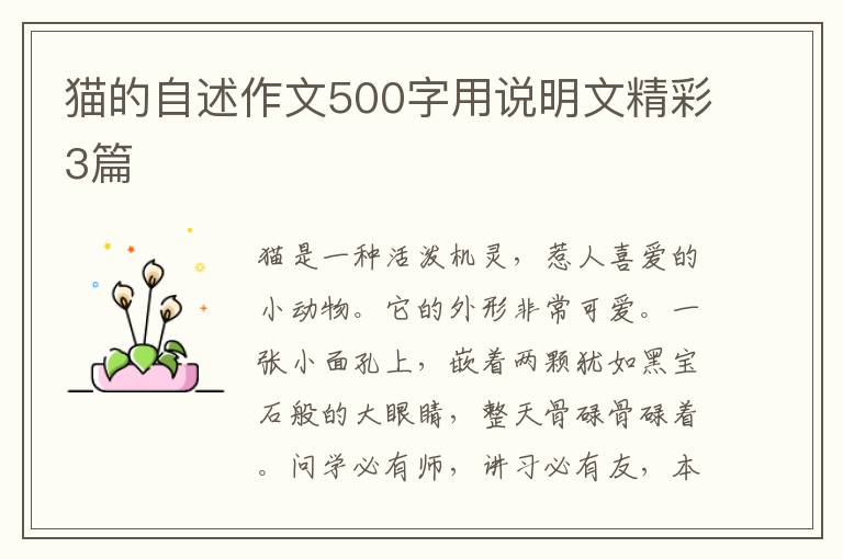 猫的自述作文500字用说明文精彩3篇