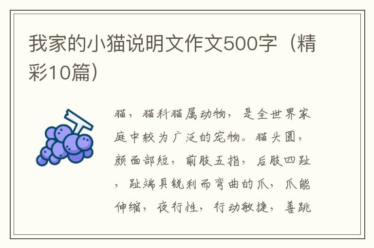 我家的小猫说明文作文500字(精彩10