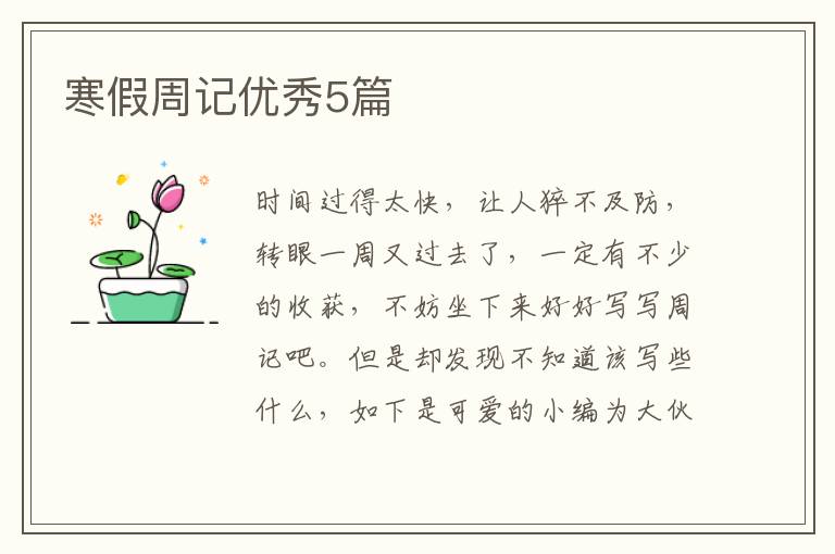 寒假周记优秀5篇