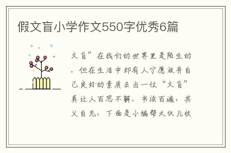 假文盲小学作文550字优秀6篇