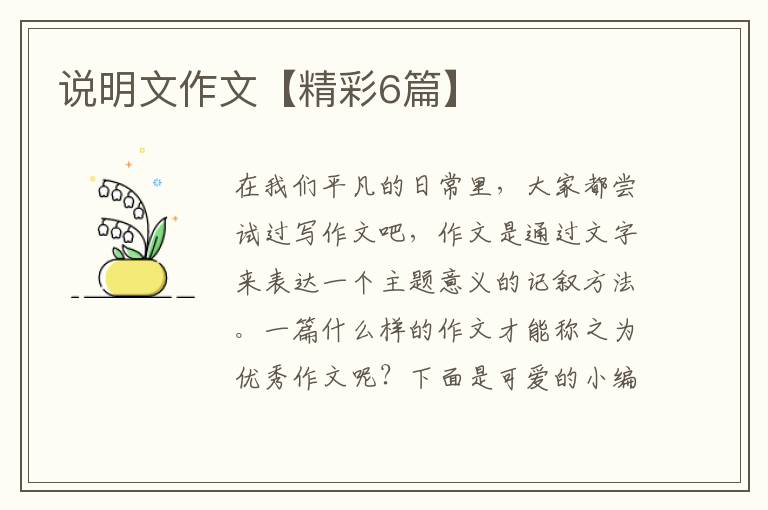 说明文作文【精彩6篇】