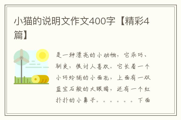 小猫的说明文作文400字【精彩4篇】