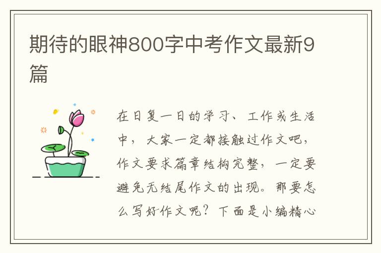 期待的眼神800字中考作文最新9篇