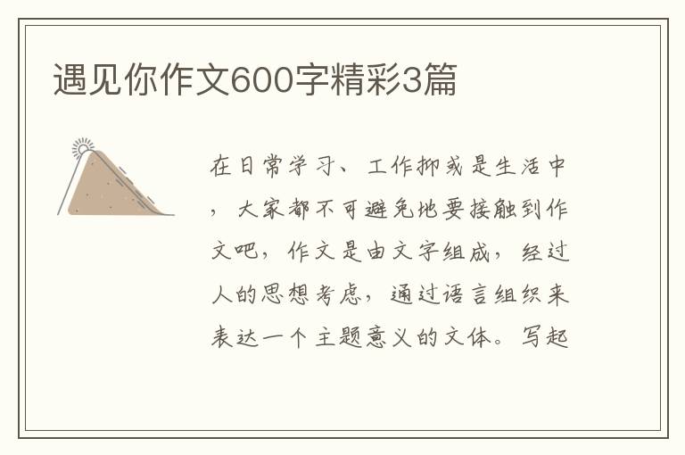 遇见你作文600字精彩3篇