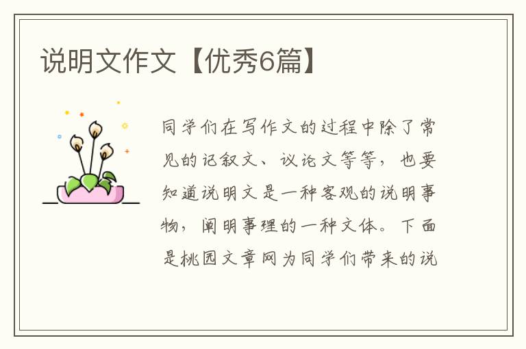说明文作文【优秀6篇】