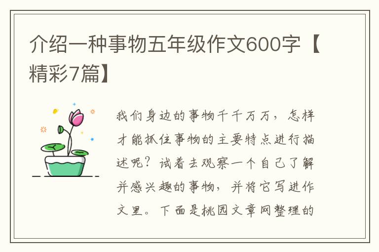 介绍一种事物五年级作文600字【精