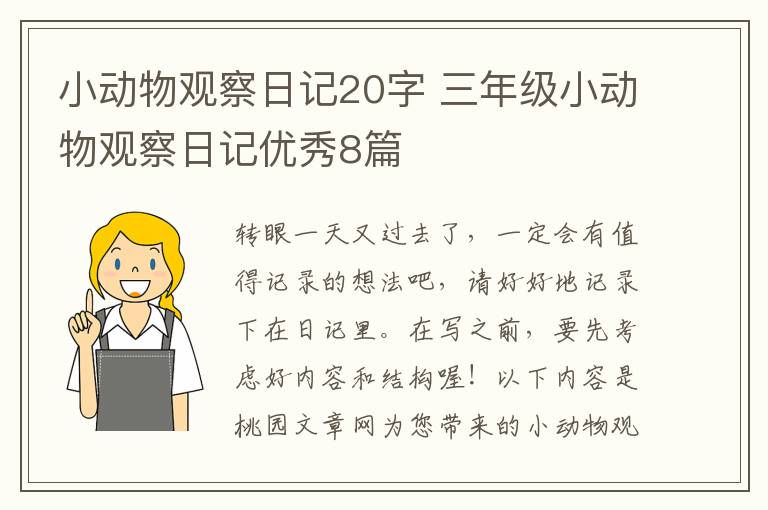 小动物观察日记20字 三年级小动物