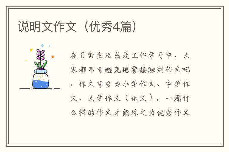说明文作文（优秀4篇）
