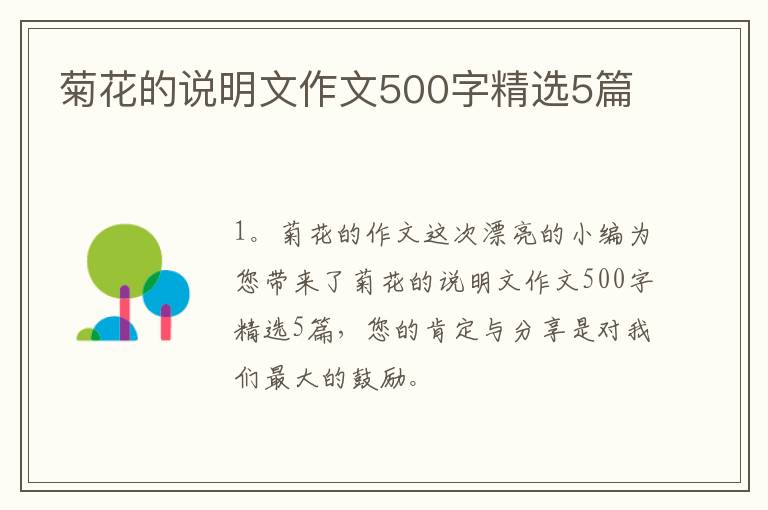 菊花的说明文作文500字精选5篇