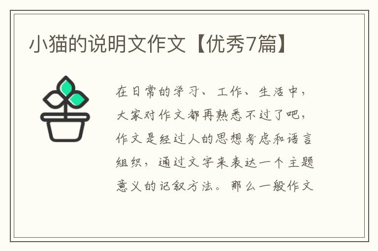小猫的说明文作文【优秀7篇】