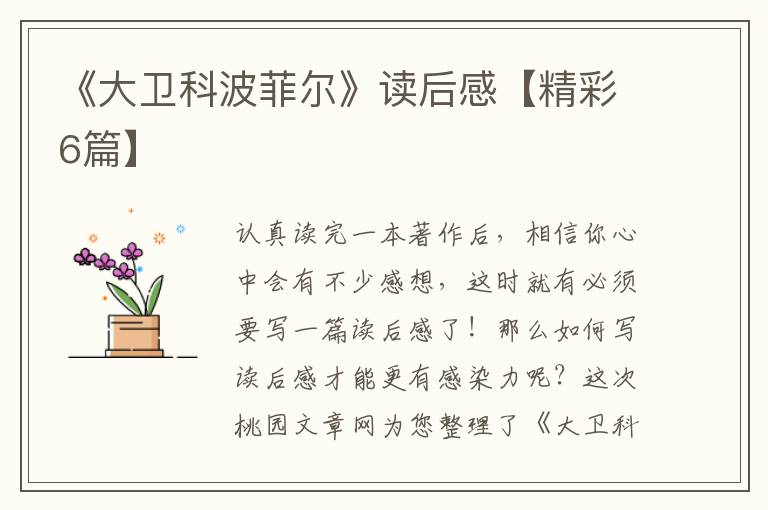 《大卫科波菲尔》读后感【精彩6篇
