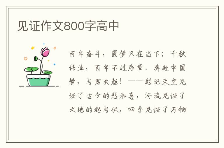 见证作文800字高中