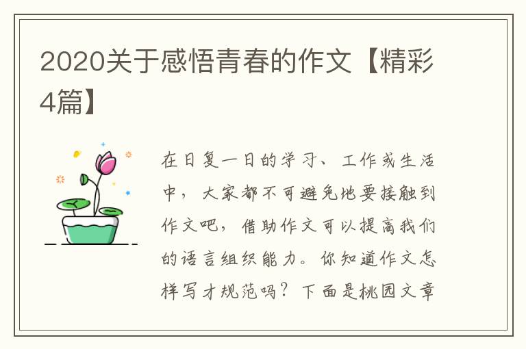 2020关于感悟青春的作文【精彩4篇
