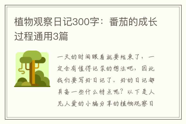 植物观察日记300字:番茄的成长过程