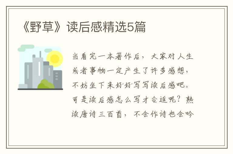 《野草》读后感精选5篇