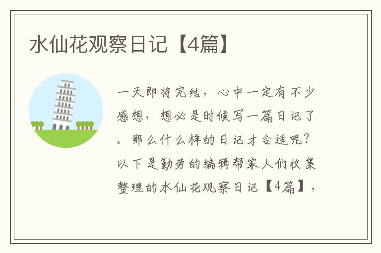 水仙花观察日记【4篇】