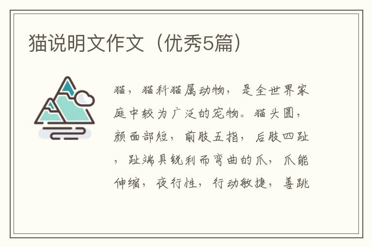 猫说明文作文(优秀5篇)
