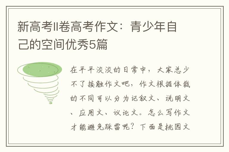 新高考II卷高考作文：青少年自己的空