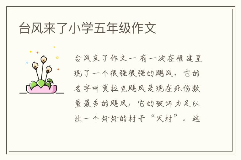 台风来了小学五年级作文