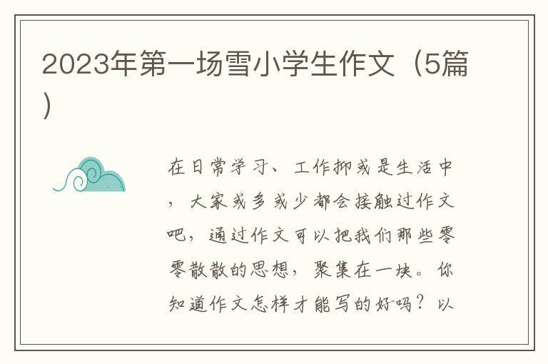 2023年第一场雪小学生作文（5篇）