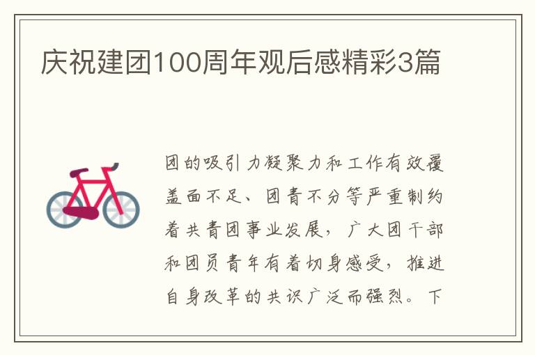 庆祝建团100周年观后感精彩3篇