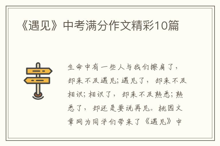 《遇见》中考满分作文精彩10篇