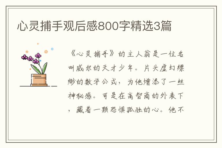 心灵捕手观后感800字精选3篇