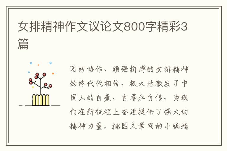 女排精神作文议论文800字精彩3篇