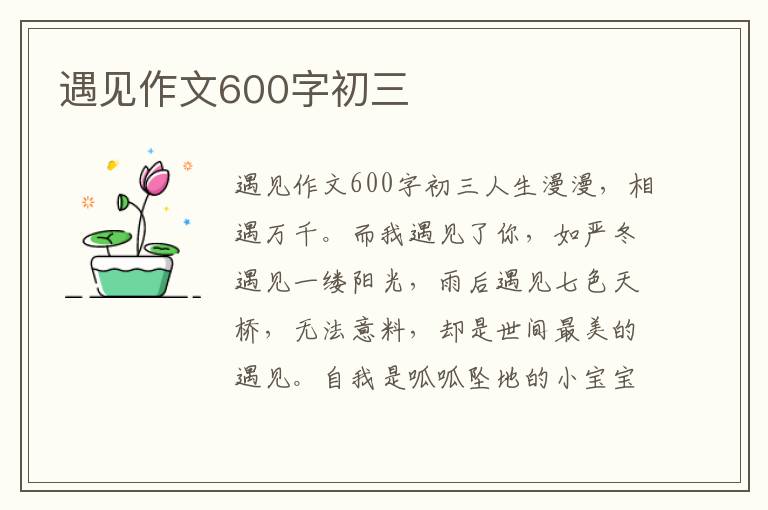 遇见作文600字初三