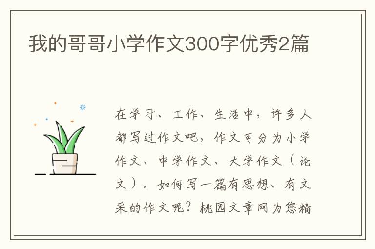 我的哥哥小学作文300字优秀2篇
