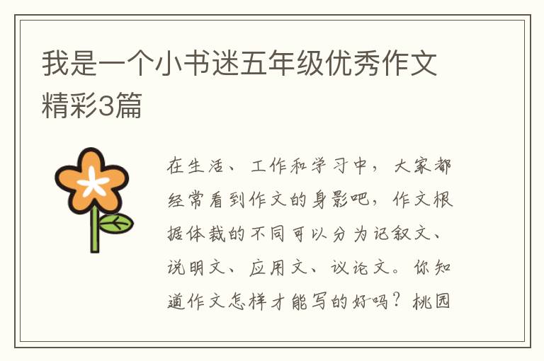 我是一个小书迷五年级优秀作文精彩