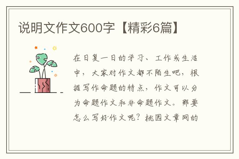 说明文作文600字【精彩6篇】