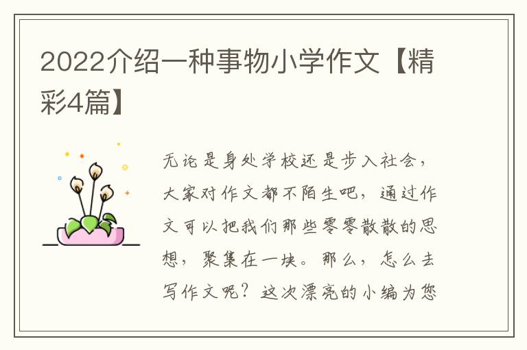 2022介绍一种事物小学作文【精彩4