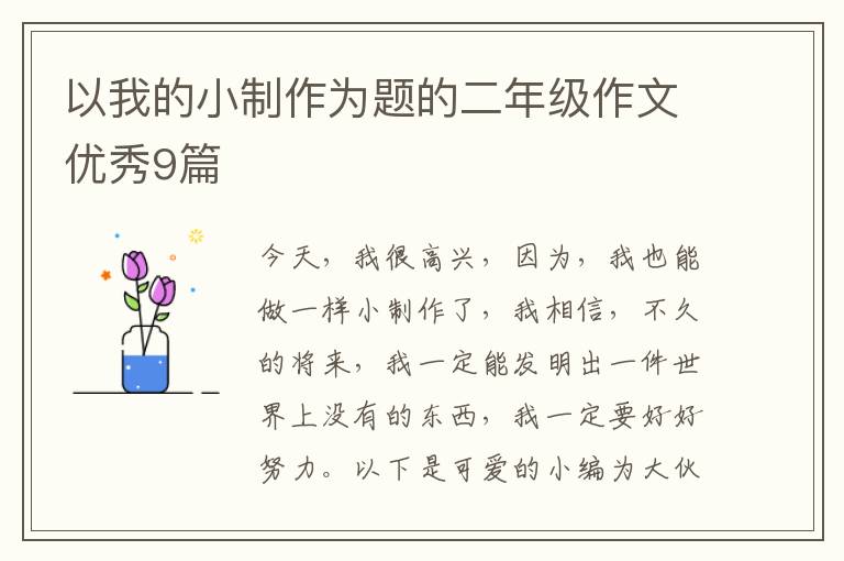 以我的小制作为题的二年级作文优秀