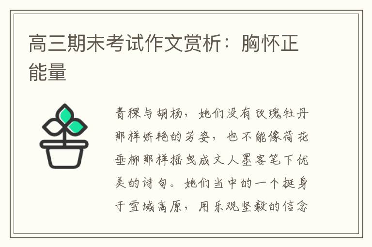 高三期末考试作文赏析:胸怀正能量