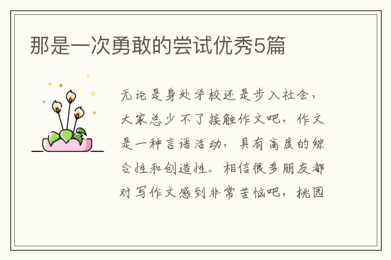 那是一次勇敢的尝试优秀5篇