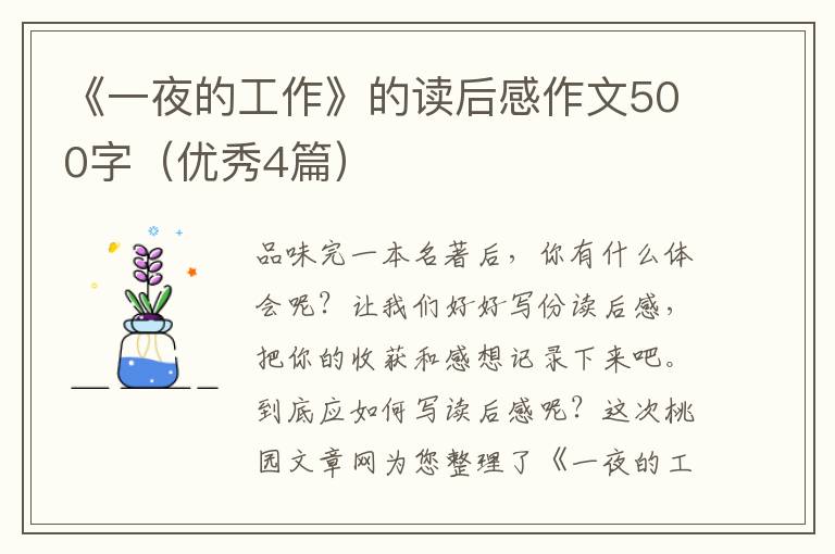 《一夜的工作》的读后感作文500字(