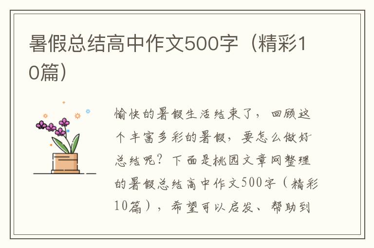 暑假总结高中作文500字(精彩10篇)
