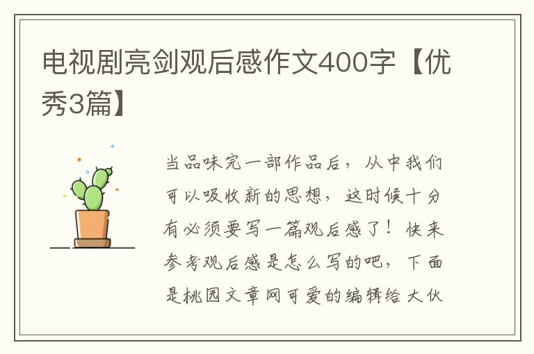 电视剧亮剑观后感作文400字【优秀3