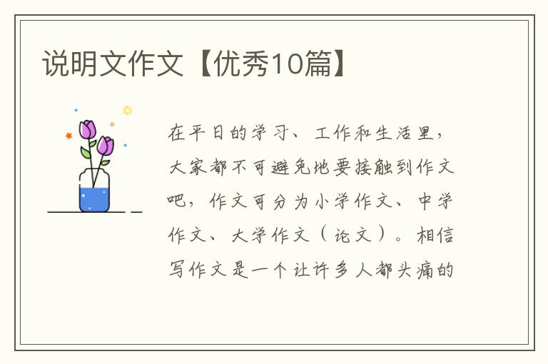 说明文作文【优秀10篇】