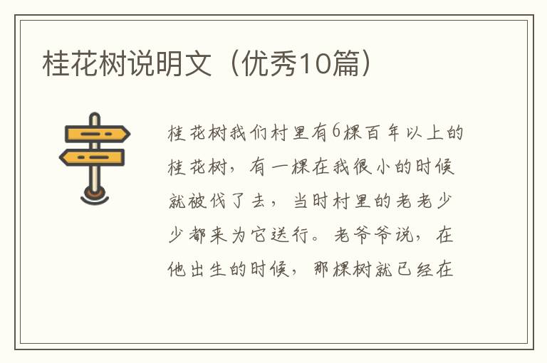 桂花树说明文（优秀10篇）