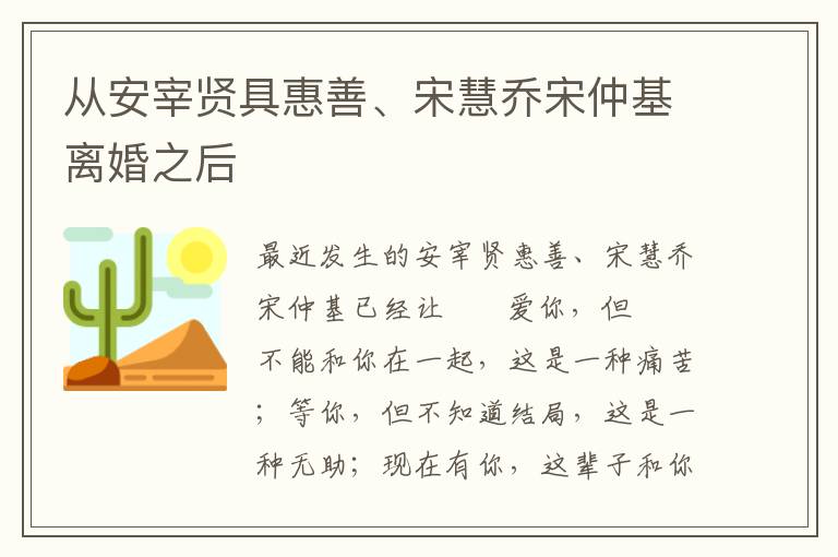 从安宰贤具惠善、宋慧乔宋仲基离婚之后