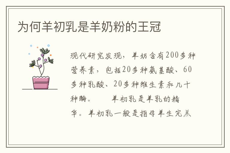 为何羊初乳是羊奶粉的王冠