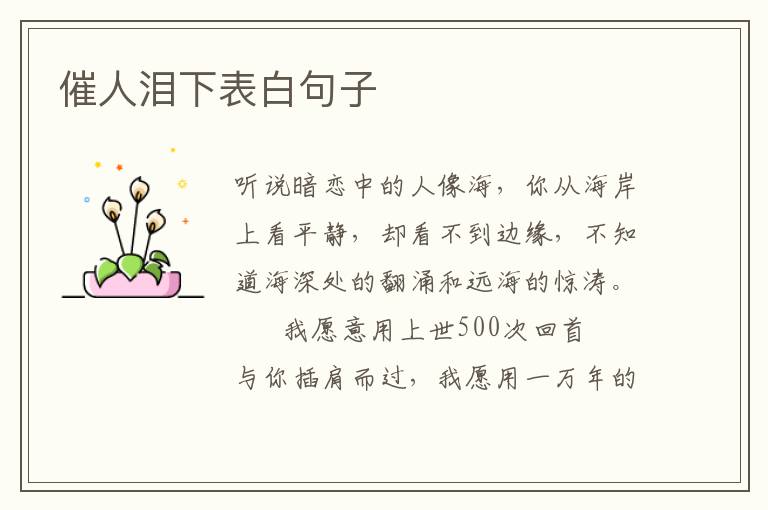 催人泪下表白句子