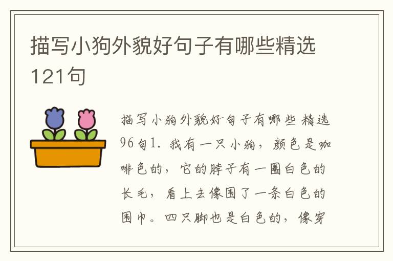 描写小狗外貌好句子有哪些精选121
