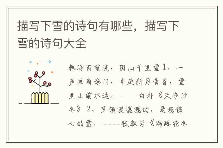 描写下雪的诗句有哪些，描写下雪的诗