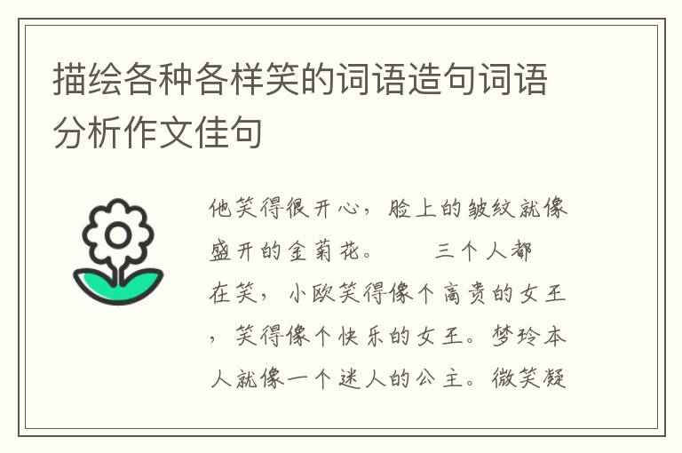 描绘各种各样笑的词语造句词语分析