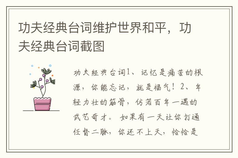 功夫经典台词维护世界和平，功夫经典台词截图