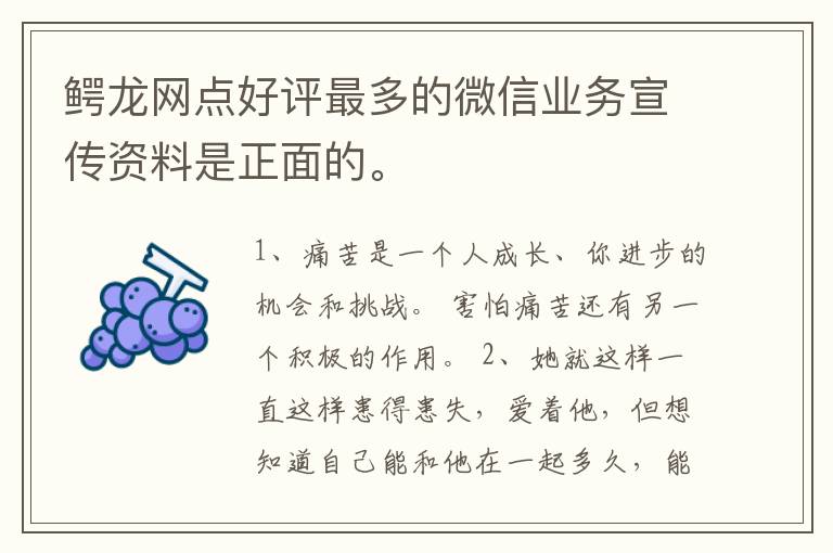 鳄龙网点好评最多的微信业务宣传资料是正面的。